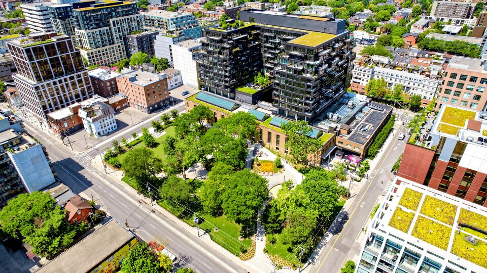 Aerial view of St. Andrew's Park, a dense block of mature green trees and lawn directly beside the building